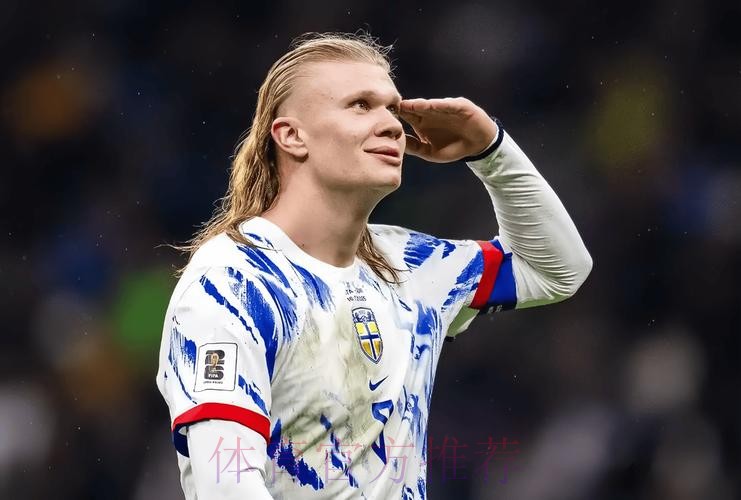 本届世界杯葡萄牙哈兰德晋级分析完整指南